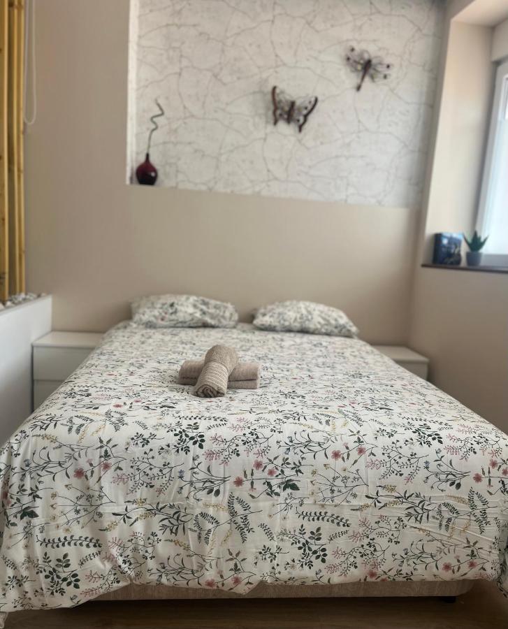 Adriva Apartamento-Loft Imperial Centro Wifi Вальядолід Екстер'єр фото